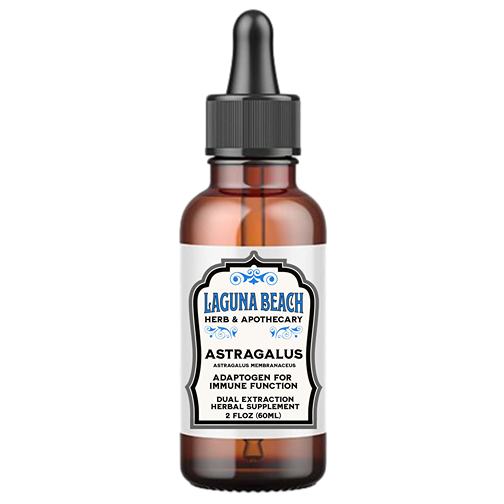 Astragalus Liquid Herbal Extract - Organic Immune Support Tincture - 2 fl oz