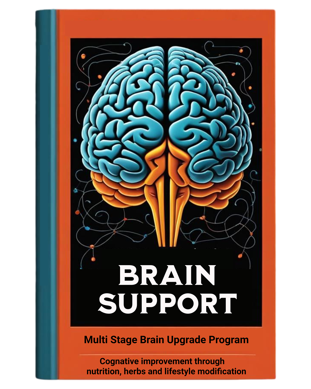 Brain Support Protocol, Multi Stage Brain Upgrade Program, Nootropics, Lifestyle, Nutrition.
