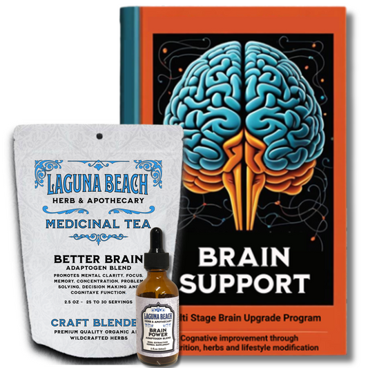 Brain Support Protocol, Multi Stage Brain Upgrade Program, Nootropics, Lifestyle, Nutrition.