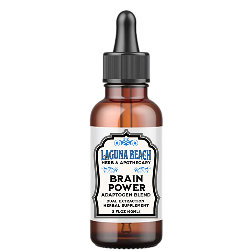 Brain Power Extract – Herbal Tonic for Focus, Memory & Clarity
