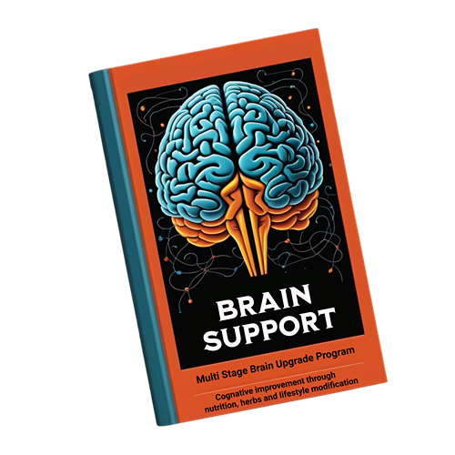 Brain Support Protocol the Guide