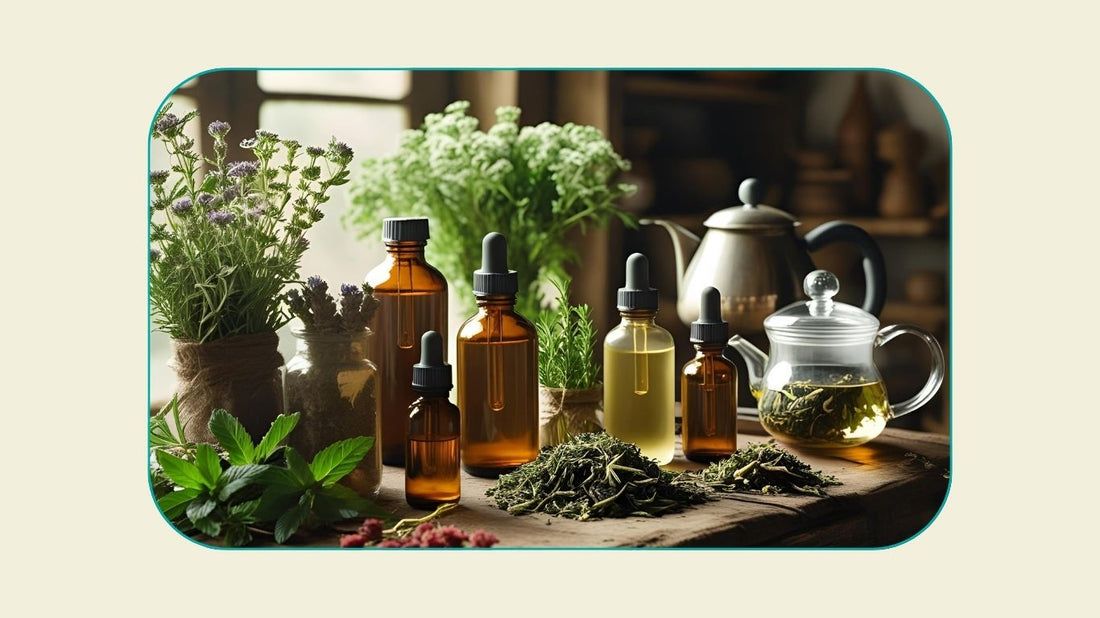 Rustic kitchen table bathed in soft daylight with amber tincture bottles, tea infuser, and glass kettle, evoking a daily herbal wellness routine.