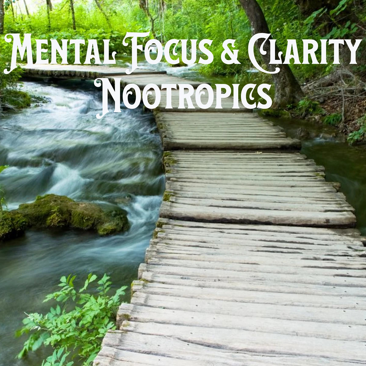 Mental Focus and Clarity - Nootropics