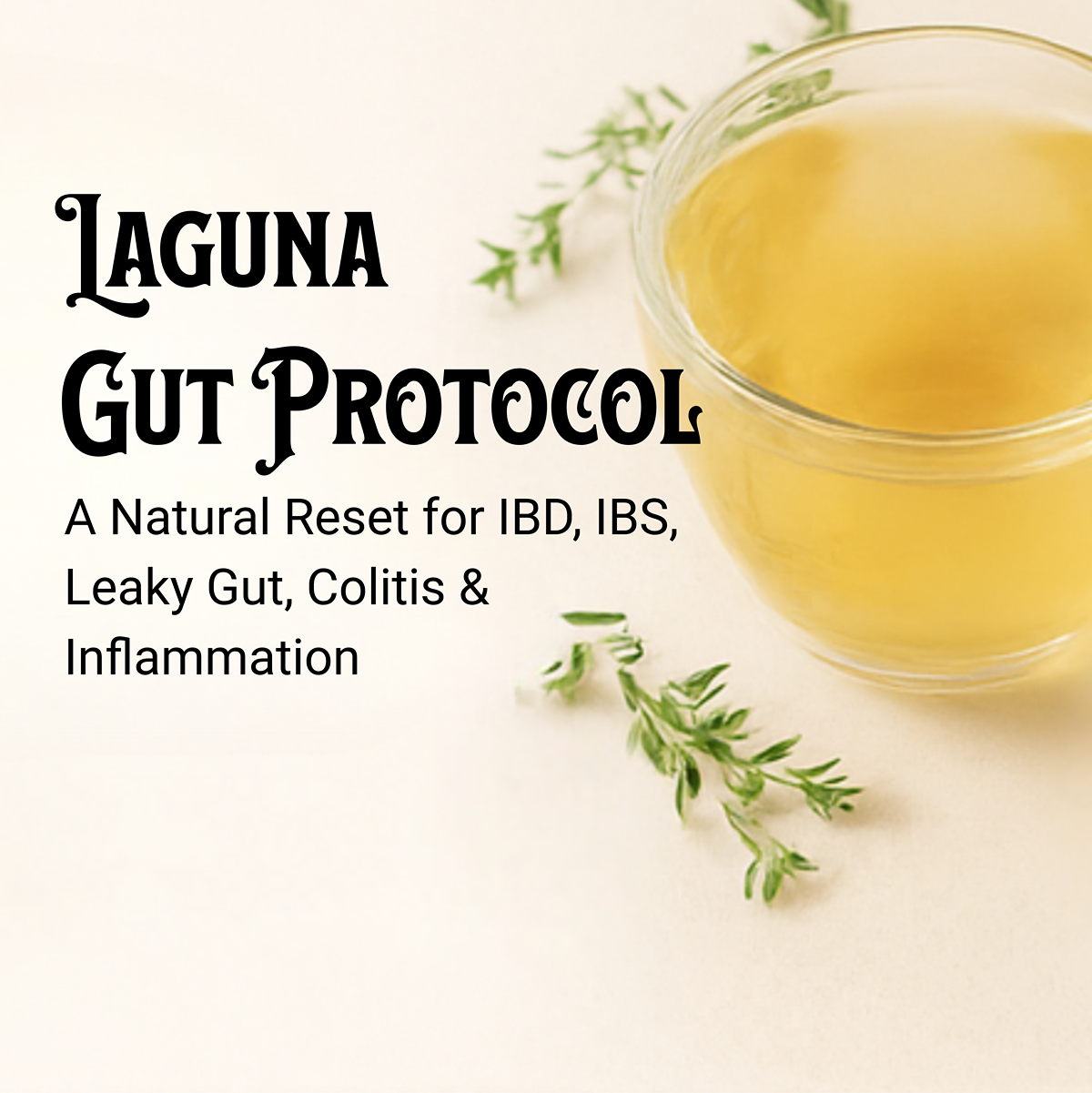 Calming cup of herbal tea with fresh herbs on an earth-tone background, symbolizing the Laguna Gut Protocol's holistic approach to digestive health, inflammation relief, and natural herbal healing.