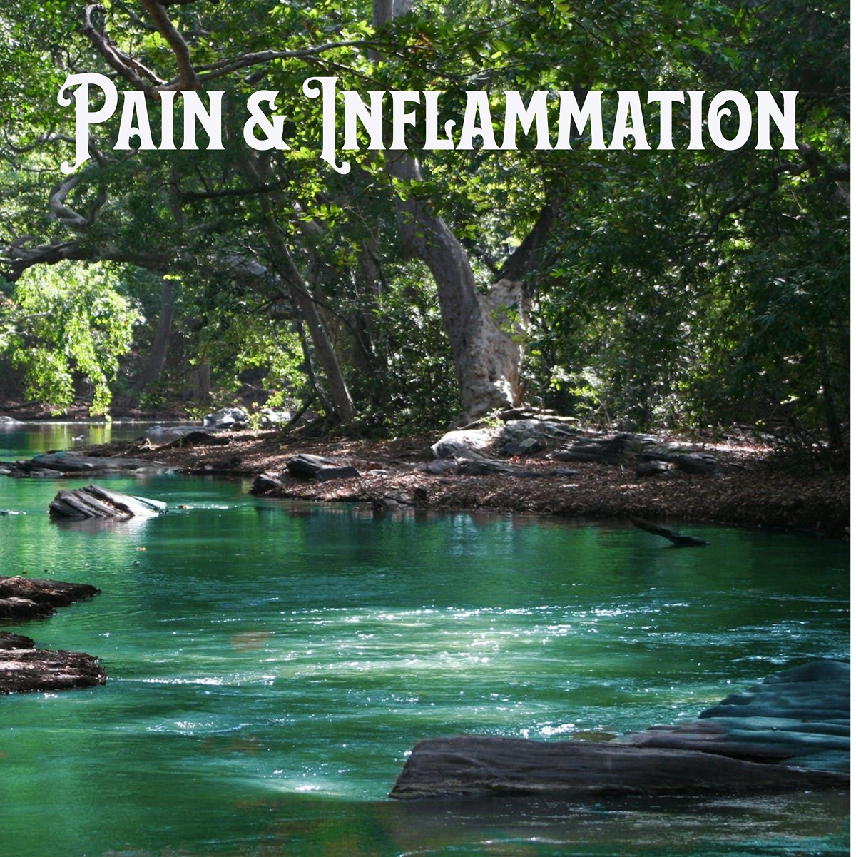 Pain & Inflammation