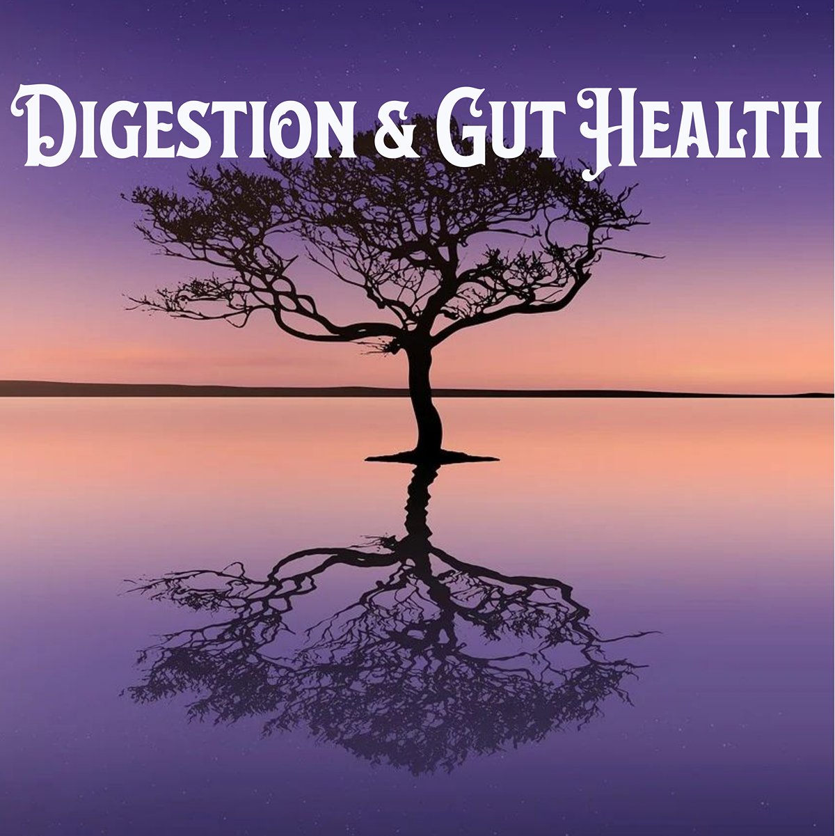 Digestion and Gut Health