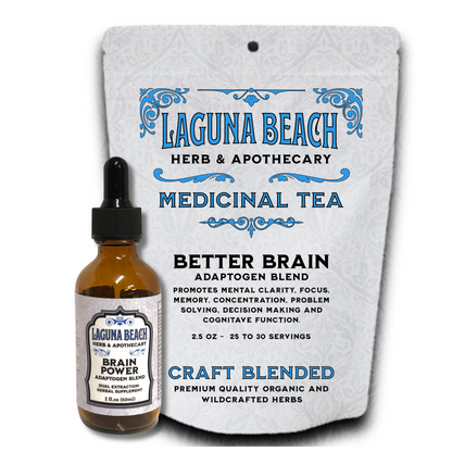 Brain Support Protocol, Multi Stage Brain Upgrade Program, Nootropics, Lifestyle, Nutrition.