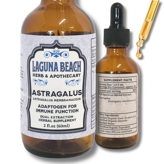 Astragalus Liquid Herbal Extract - Organic Immune Support Tincture - 2 fl oz