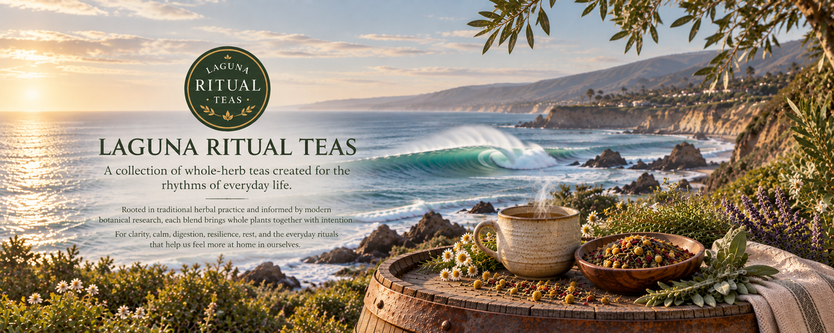 Laguna Ritual Teas whole-herb tea collection overlooking the Laguna Beach coast with herbal tea, botanicals and ocean waves.