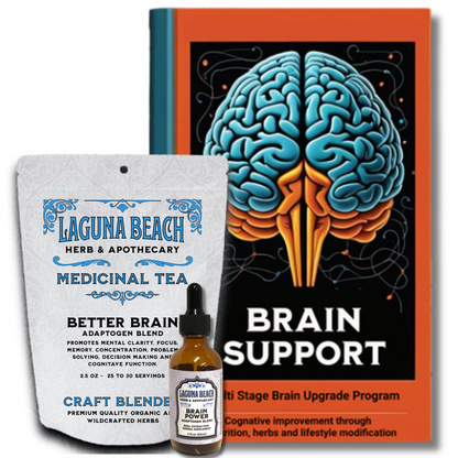 Brain Support Protocol, Multi Stage Brain Upgrade Program, Nootropics, Lifestyle, Nutrition.